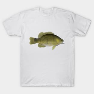 Rock Bass T-Shirt